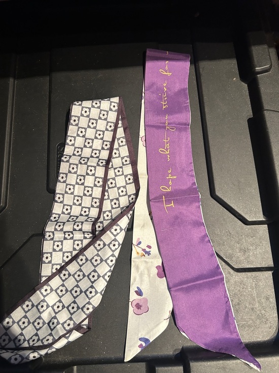 Other - NEW Twilly Scarf Set in Purple and Cream - Hair Neck Purse Dresser Glass Gifting